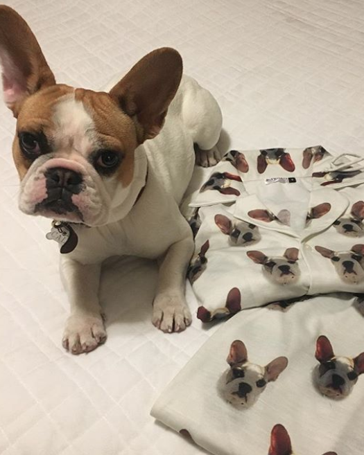Pyjamas with your dog’s face printed on them is your next investment