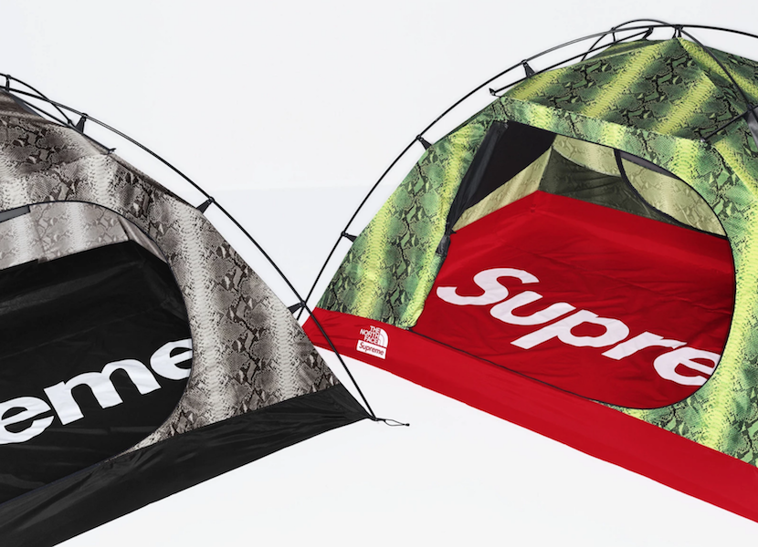 Supreme and the North Face team up for a snakeskin-heavy collection - Fashion Journal
