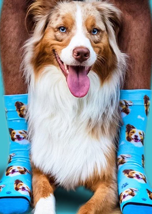 PSA: You can now get your doggo’s face printed on socks