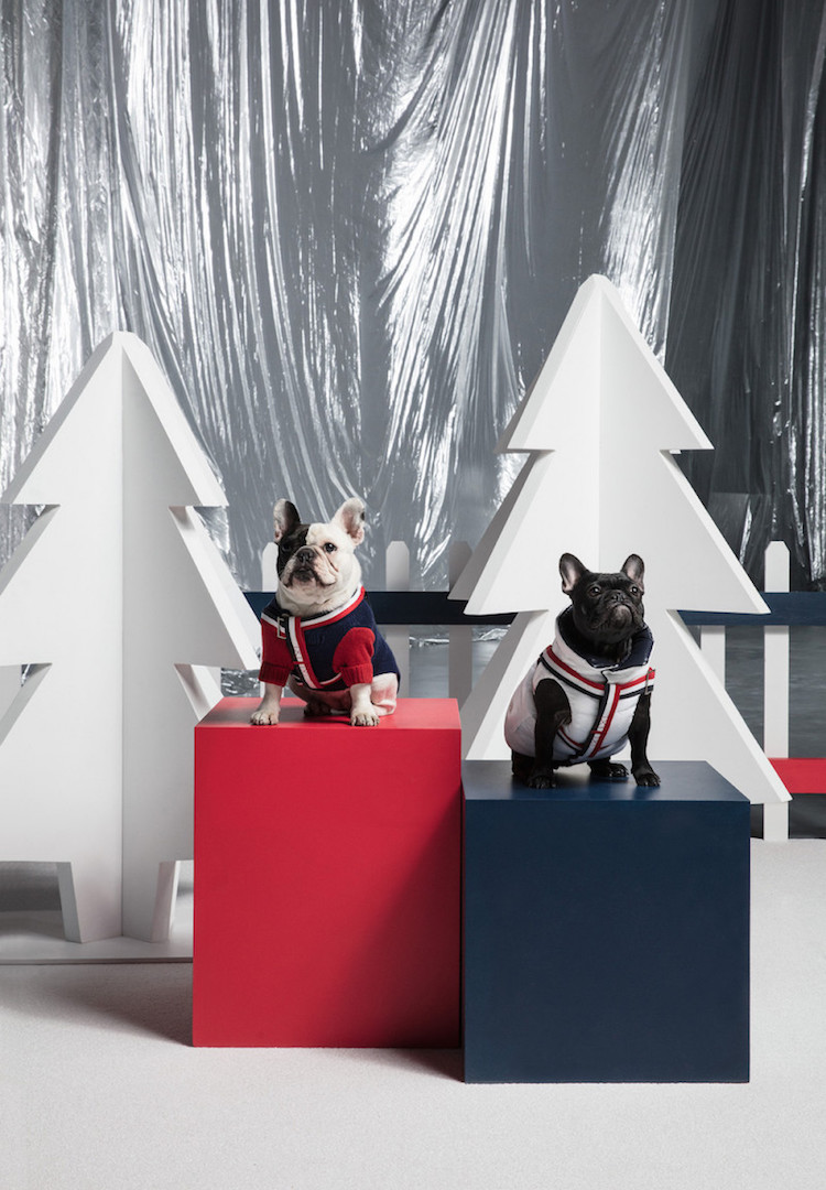 Moncler has collaborated on an adorable line of puffer jackets for pups