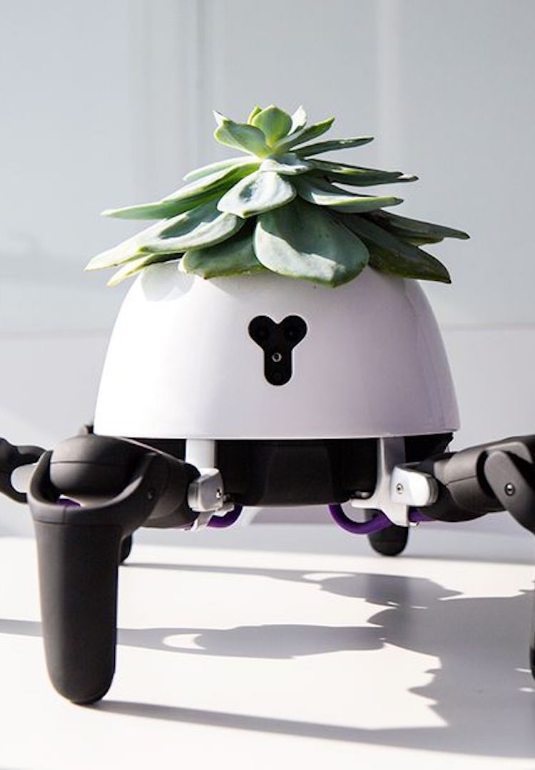 This robot chases the sun to keep your plants alive