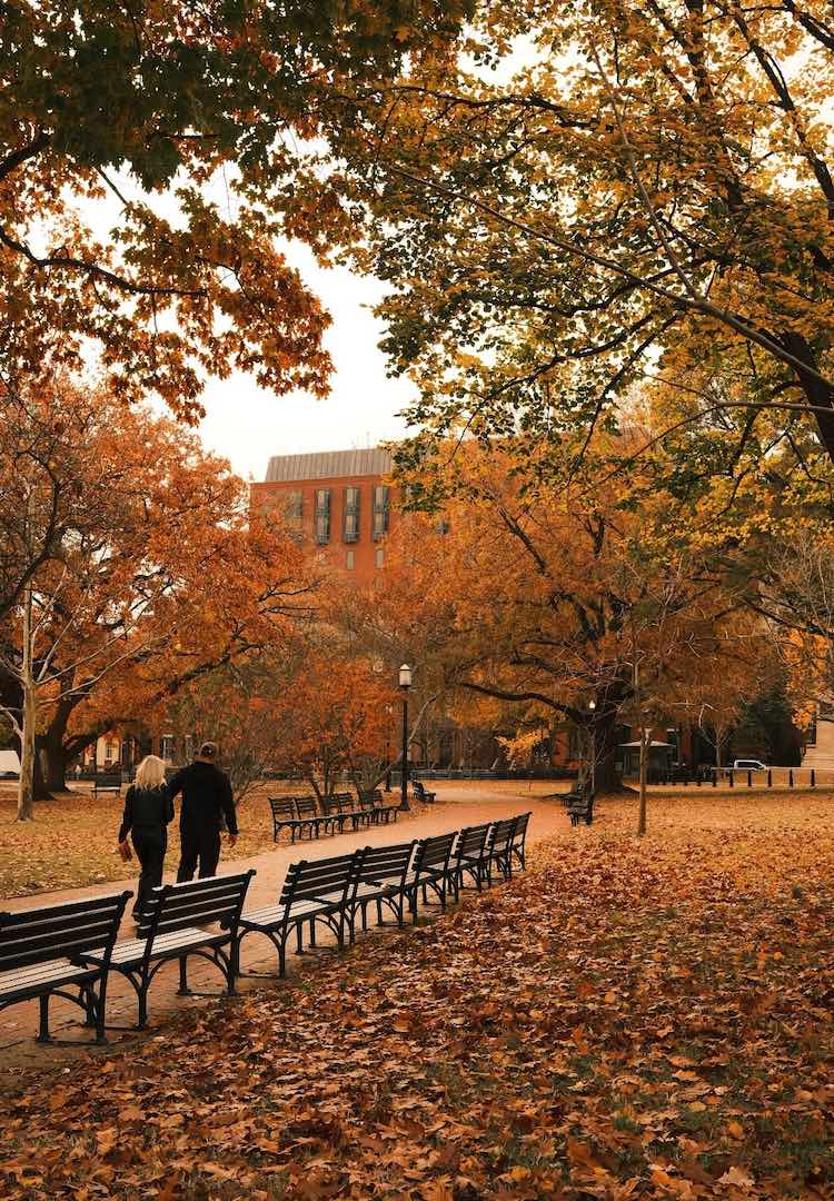 When professors date their students: Madison Griffiths explores power and consent