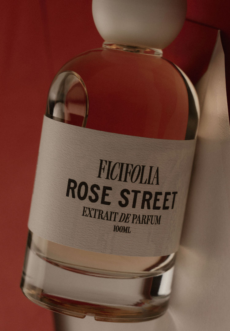 Ficifolia Fragrances Black Friday Online Sale