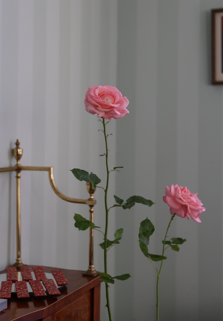 ‘How To Live More Deliciously’ Workshop