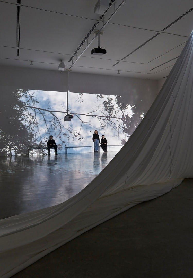 Public Programs Producer