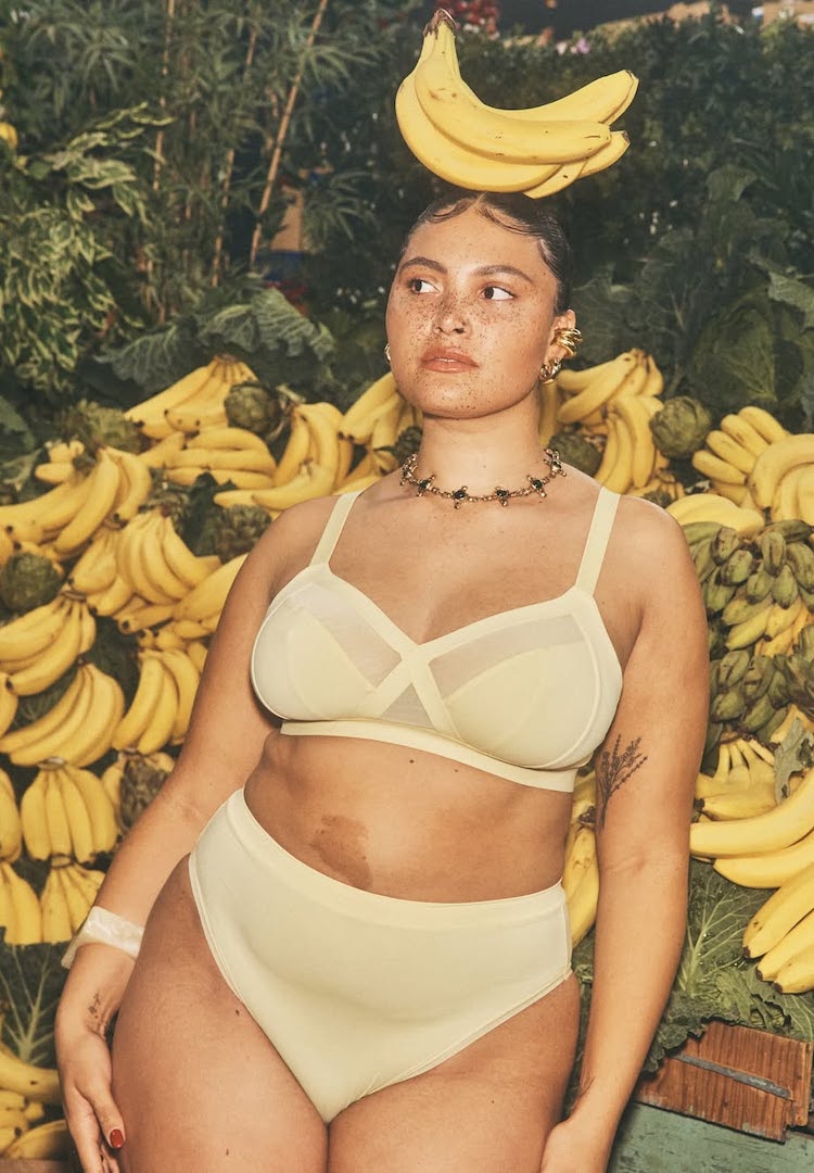 Wholesale Account Manager