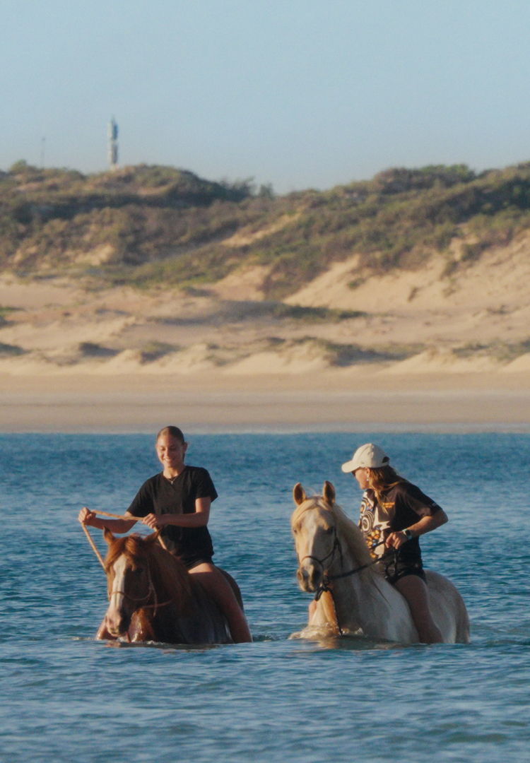 What to see at this year’s Melbourne International Film Festival