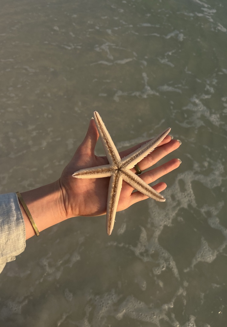 Being a starfish in the bedroom is an act of feminism